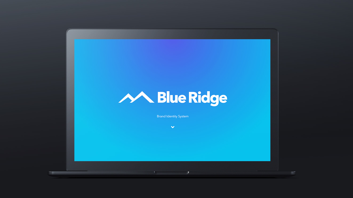 BR Digital Brand Guidelines